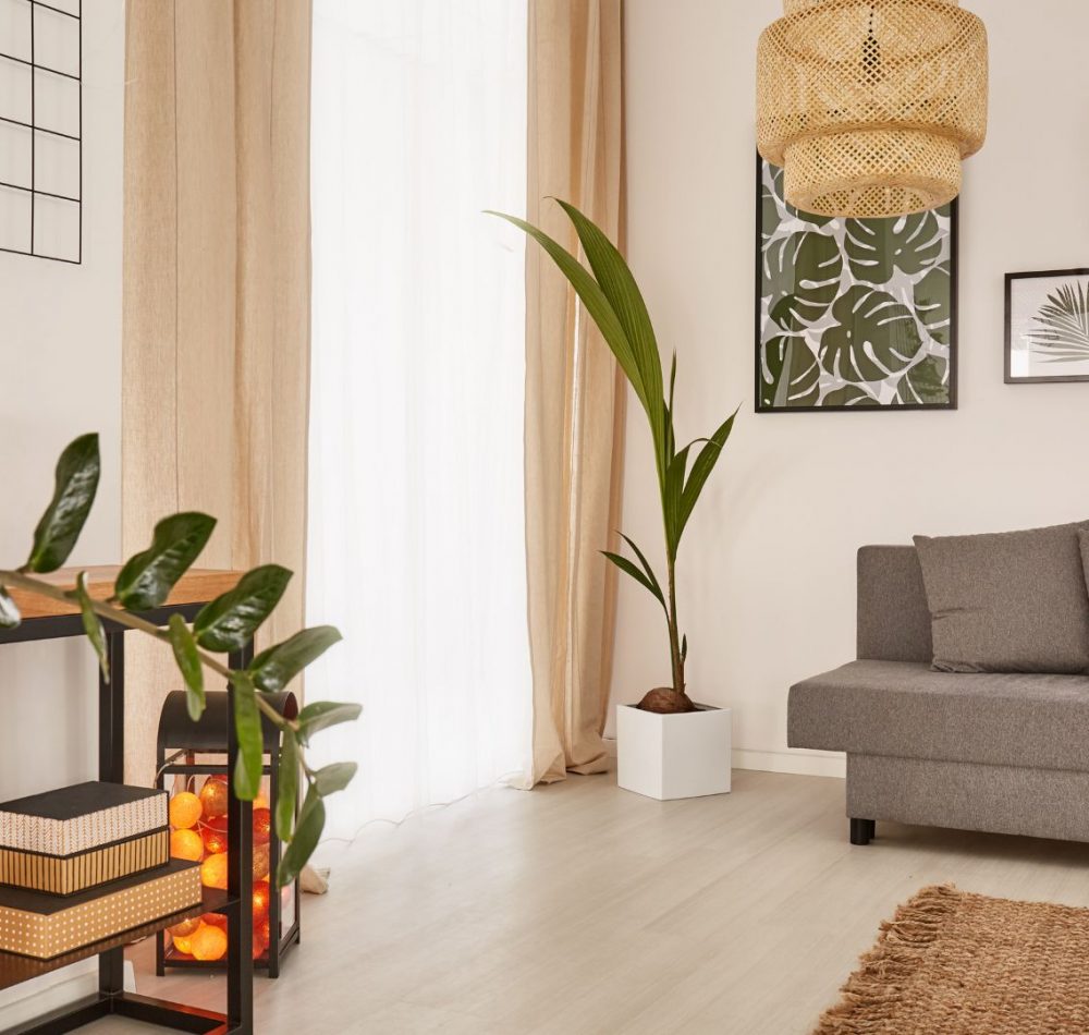 prestations coaching deco